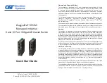 Preview for 1 page of Omnitron Systems RuggedNet 10G/Mi Quick Start Manual