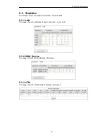 Preview for 10 page of Packet Force RVSG-4014 User Manual