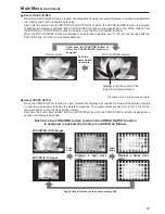 Preview for 17 page of Panasonic BT-LT80W Menu Information