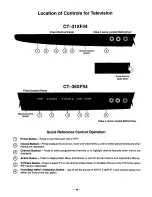 Preview for 14 page of Panasonic CT-31XF44 User Manual