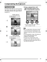 Preview for 45 page of Panasonic LUMIX DMC-FZ3EB Operating Instructions Manual