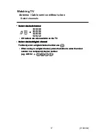 Preview for 17 page of Panasonic ST60 Series Owner'S Manual