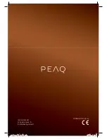 Preview for 152 page of Peaq PDR300 User Manual