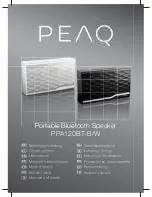 Peaq PPA120BT-B User Manual preview