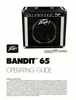 Peavey Bandit 65 Operating Manual preview