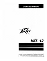 Peavey HKS 12 User Manual preview