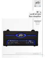 Peavey VB -3 Operating Manual preview