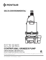 Preview for 1 page of Pentair DELTA ENVIRONMENTAL D2C20 Series Service Manual And Parts List