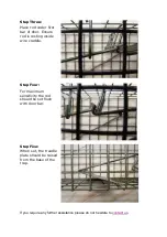 Preview for 2 page of PERDIX Mink Trap Setting Instructions