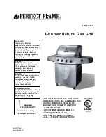 Perfect Flame 64876 Owner'S Manual preview