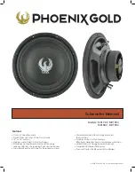 Phoenix Gold MX12D2 Manual preview