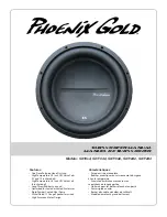 Phoenix Gold SX18S4 User Manual preview