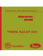 PIAGGIO VESPA RALLY 200 Operation And Maintenance preview