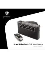 Preview for 1 page of Pinnacle SoundBridge Wireless Network Music Player User Manual