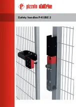 Pizzato Elettrica P-KUBE 2 Safety preview