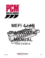 PleasureCraft Engine Group 5.0L Diagnostic Manual preview