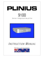 Plinius 9100 Instruction Manual preview