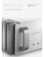 Plinius P10 Instruction Manual preview