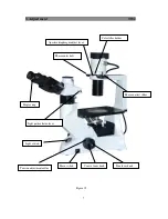 Preview for 10 page of PolyScience 3032 series Instructions For Use Manual