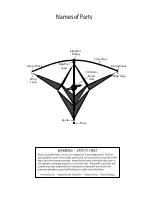 Preview for 3 page of Premier designs Pyramid Racer User Manual