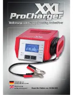 ProCharger 10004603 Operating Instructions Manual preview