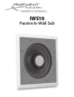 Proficient Audio Systems IWS10 Owner'S Manual preview