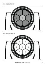 Preview for 29 page of ProLights Astra Wash7PixIP User Manual