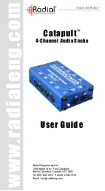 Preview for 1 page of Radial Engineering Catapult RX4 User Manual