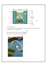 Preview for 29 page of Radicom Research RB8762C Series Designer'S Manual