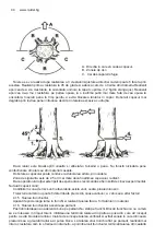 Preview for 44 page of Raider Garden Tools RD-ECS21 User Manual