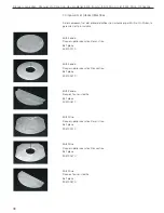 Preview for 38 page of RAIS MINO II User Manual