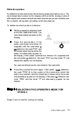 Preview for 11 page of RAYDOT CVS-21HA User Manual