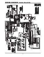 Preview for 43 page of Raypak 503A Installation & Operating Instructions Manual