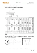 Preview for 21 page of REDEX SRP0 User Manual