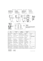 Preview for 1 page of Regulus BB1-1000 Instruction Manual