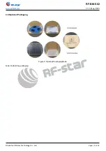 Preview for 19 page of RF-Star RF-BM-S02 Instruction Manual