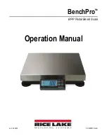 Rice Lake BenchPro BP-P Operation Manual preview