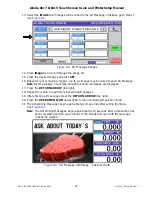 Preview for 29 page of Rice Lake Ishida Uni-5 Series Setup Manual