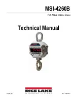 Rice Lake MSI-4260B Technical Manual preview