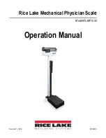 Rice Lake RL-MPS-50 Operation Manual preview