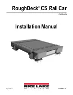 Rice Lake RoughDeck CS Installation Manual preview