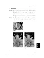 Preview for 39 page of Ricoh IS430 User Manual