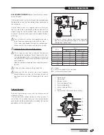 Preview for 29 page of Riello 20039590 Installation And Maintenance Manual