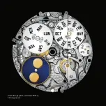 Preview for 29 page of Roger Dubuis RD821J Instructions For Use Manual