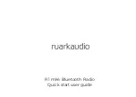 RuarkAudio DYS824-140150W-K Quick Start User Manual preview