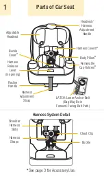 Preview for 7 page of Safety 1st TriFit TriMate Manual