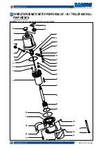 Preview for 22 page of Samoa LARIUS GHIBLI 30:1 Operating And Maintenance Manual