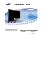 Samsung SyncMaster 226NW (Spanish) Manual Del Usuario preview