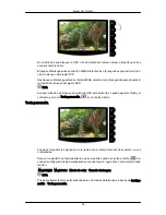 Preview for 33 page of Samsung SyncMaster 2333SW (Spanish) Manual Del Usuario