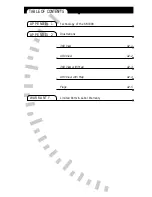 Preview for 14 page of Sandel SN3308 Pilot'S Manual